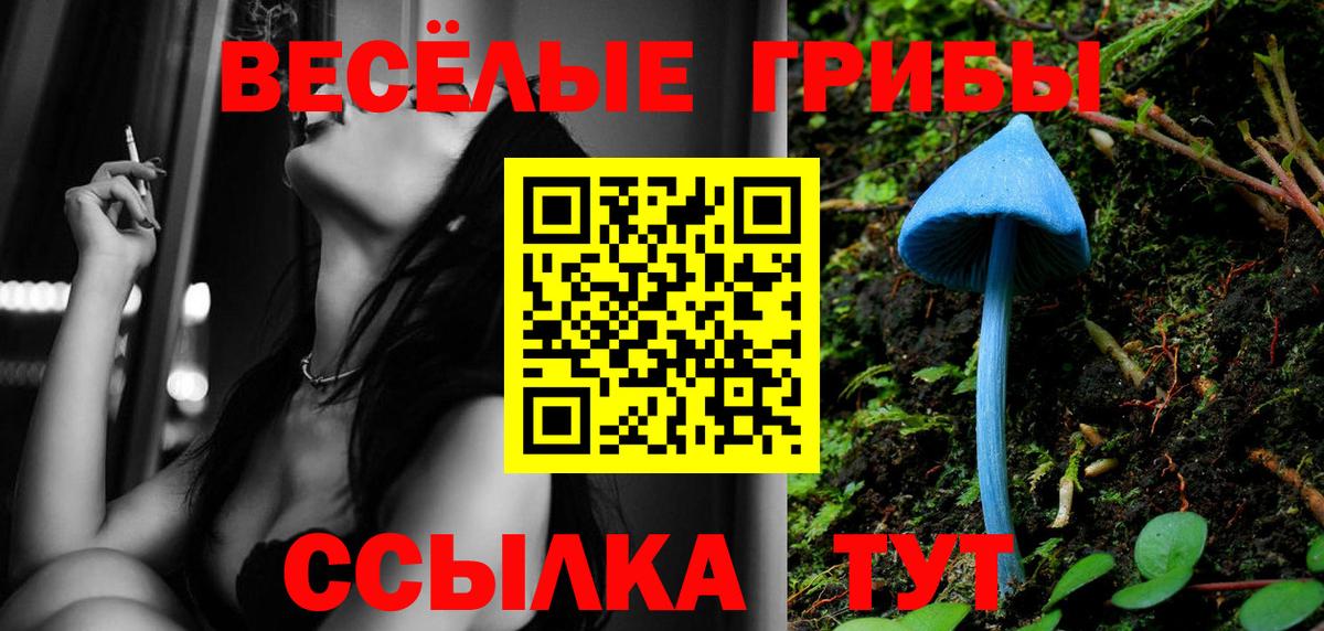 Псилоцибиновые грибы Cubensis  Псилоцибиновые грибы Magic Shrooms  Белово  купить наркотик  Вход с VPN 