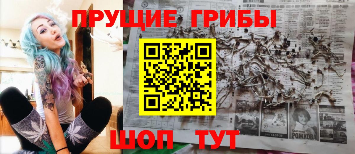 Галлюциногенные грибы ЛСД Белово